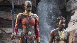 Lupita Nyong'o Danai Gurira Americannah