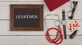 blood cancer, indianexpress.com, indianexpress, plant-based foods, diet to fight blood cancer, blood cancer awareness month,