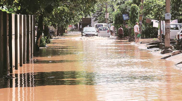 chandigarh rains, chandigarh weather, new chandigarh flood alert, new chandigarh news
