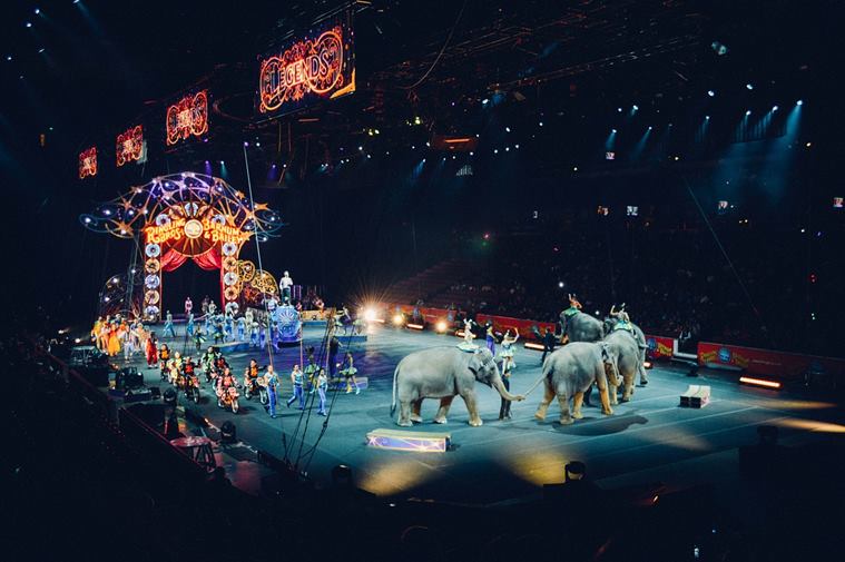 cirkus arena denmark cirkus arena denmark