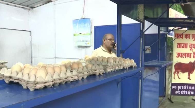 Madhya Pradesh: Selling chicken, milk from same parlour will hurt 'religious sentiments', says BJP lawmaker