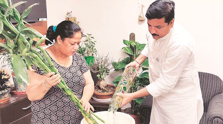 Tell friends to join dengue drive, Delhi CM appeals to residents
