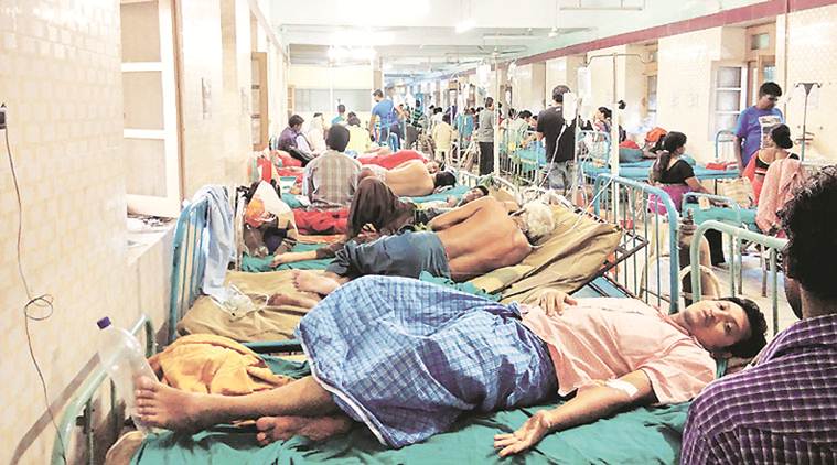 Kolkata news, Kolkata city news, Kolkata dengue cases, Kolkata municipal corporation ,indian express