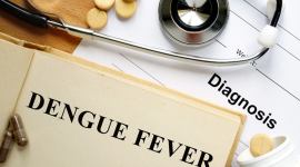 gurgaon news, gurgaon dengue cases, delhi dengue cases, gurgaon 2019 dengue tally, delhi city news
