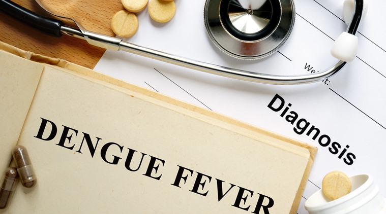 dengue fever, dengue symptoms, dengue treatment, dengue indian express