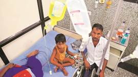 diarrhoea, diarrhoea cases himachal pradesh, diarrhoea cases baddi border, himachal pradesh news, chandigarh news