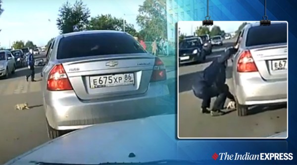 man saves kitten viral video, man saves cat under car viral clip, Russian dashcam videos, camcorder, cat viral video, trending, indian express, indian express news