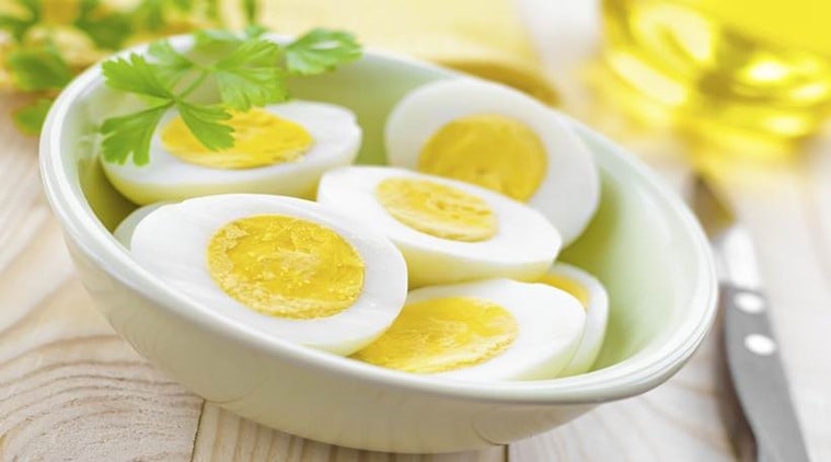 eggs, boiled eggs, protein in eggs, protein deficiency, indian express news