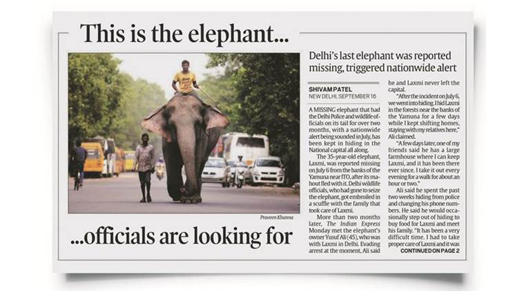 Delhi: Laxmi was under police nose, says wildlife dept; search op intensifies, but in vain