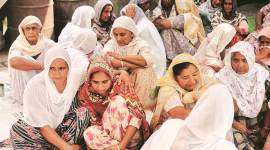 Punjab farmers, farmers in Punjab, Punjab farmers death, Punjab farmers suicide, India news, Indian Express