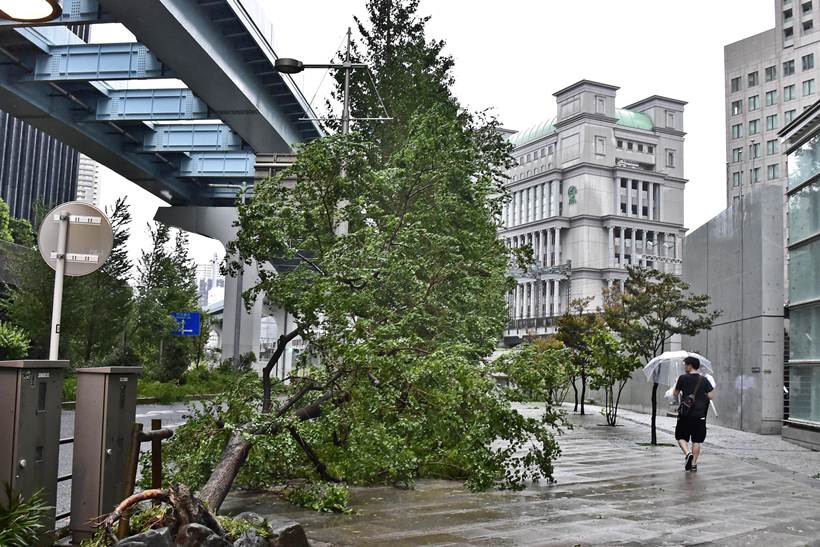 typhoon faxai, tokyo typhoon faxai, typhoon faxai death toll, typhoon faxai damage, world news, indian express