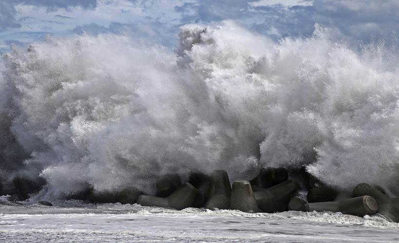 typhoon faxai, tokyo typhoon faxai, typhoon faxai death toll, typhoon faxai damage, world news, indian express