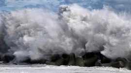 typhoon faxai, tokyo typhoon faxai, typhoon faxai death toll, typhoon faxai damage, world news, indian express