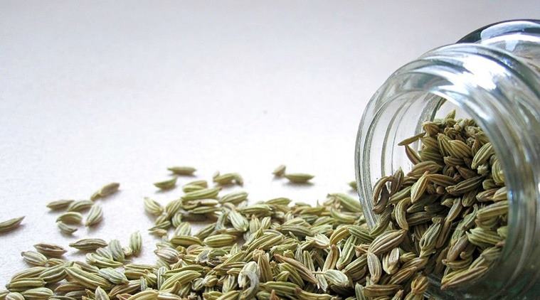 fennel seeds, benefits of fennels seeds, fennel seeds of breastfeeding mothers, indian express
