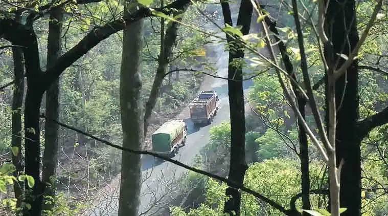 Abohar Porn Video - Punjab: Road through Abohar sanctuary to have underpasses for wildlife |  India News,The Indian Express