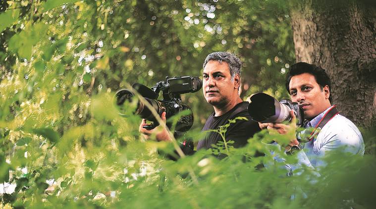 purple frog, bush frog, wildlife filmmakers, wildlife filmmaking, indian express