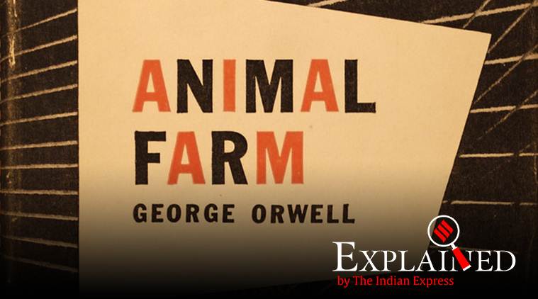 Explained: Why High Court invoked Orwell's Animal Farm to strip Rajasthan ex-CMs of privileges