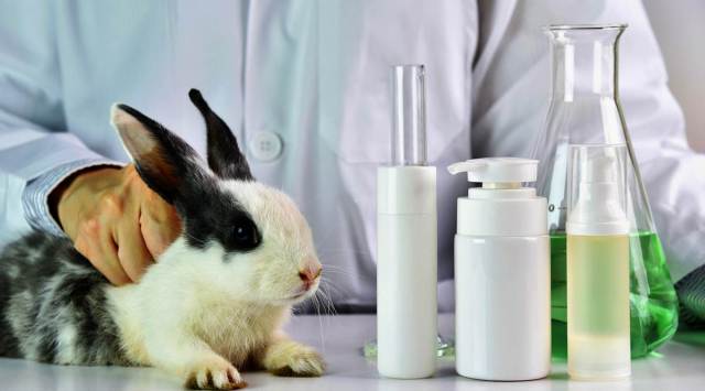 Chandigarh is installing the first-ever Digital Subtraction Angiography (DSA) facility in the country, dedicated for basic research in animals.(Representational Image) 