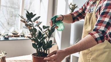 Sustainable living, Sustainable living ro water, Sustainable living ac water