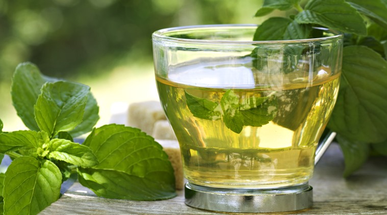 green tea, benefits of green tea, green tea for flu, indian express, indian express news