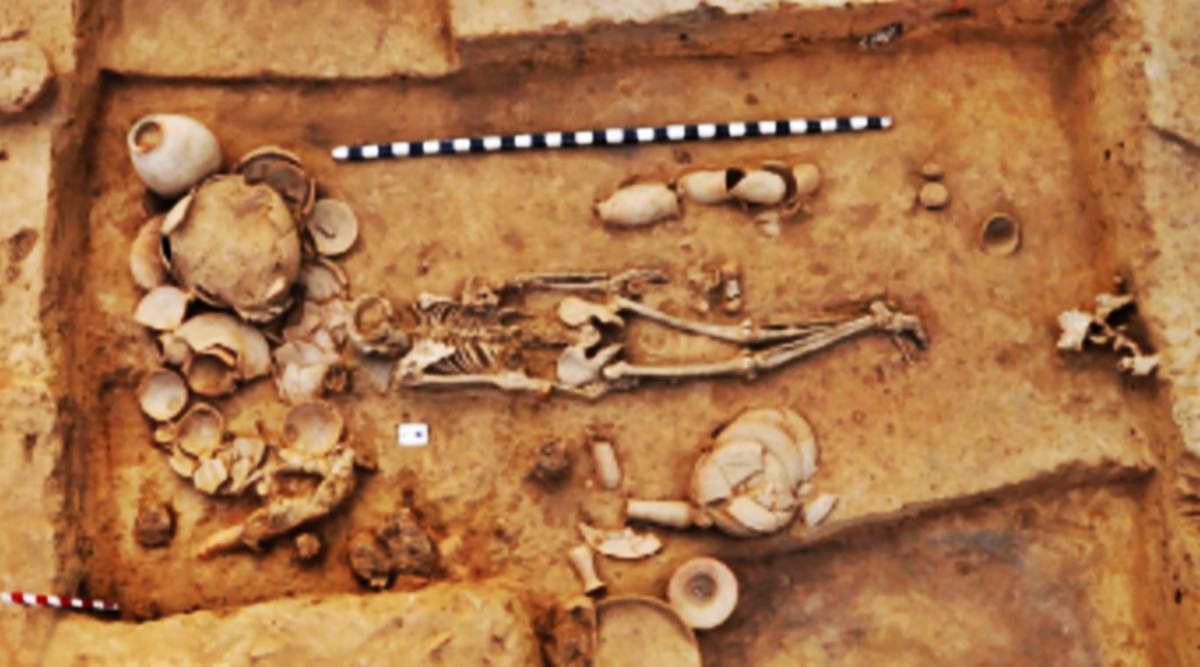 study says no traces of steppe