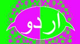 Panjab University Capt champions cause of Urdu: ‘It’s Indian, like all great languages’