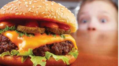 Junk food sale, advertisement school premises, school premise advertisement, junk food, school, school premise, education news, indian express, indian express news