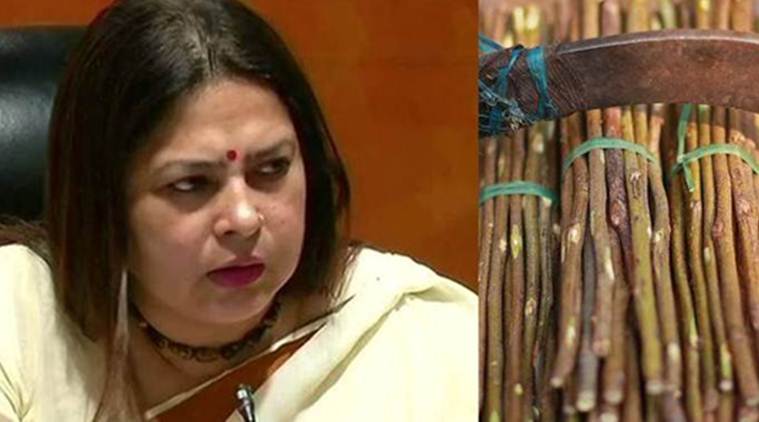 no plastic use, govt to ban plastic use, meenakshi lekhi on plastic use, meenakshi lekhi says use neem twigs