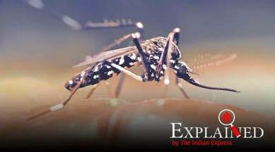 malaria cases, malaria vaccine, malaria eradication, malaria eradication lancet report, India malaria cases