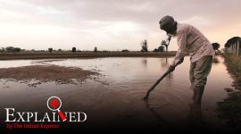 punjab farmer suicides, malwa farmers, farm debt, marginal farmers, express explained, indian express