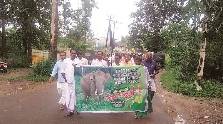 Kerala elephants, Kerala Maniyan wild elephant, kerala tusker maniyan, Wayanad Wildlife Sanctuary, kerala news, indian express