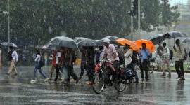 Winter in India, Winter in north India, Punjab rains, Punjab winters, Haryana rains, Haryana winters, Delhi weather, Delhi rains, Delhi winters, Delhi air quality, India news, Indian Express
