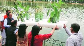 National green tribunal, Naini lake, naini lake modification, north delhi municipal corporation, Delhi city news