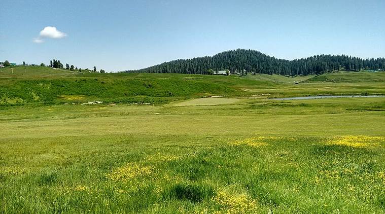 Gulmarg sanctuary, Gulmarg wildlife sanctuary, wildlife board, wildlife boardgives nod for defence project, gulmarg sanctuary defence project, indian express