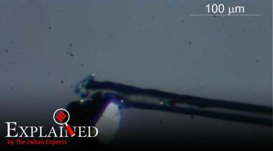 new mysterious mineral inside a diamond, mysterious new mineral inside south african diamond, mysterious mineral found in the mantle inside a diamond, Goldschmidtite mineral, Goldschmidtite unique mineral, what is Goldschmidtite mineral, tiny rock inside a diamond