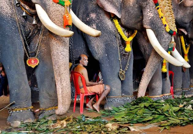 onam, onam festival, onam 2019, kerala, onam rituals, onam pookalam, onam plays, onam dance, onam games, Onakalikal, onam food, kerala festival, onam photos, onam celebration photos, onam images, indian express