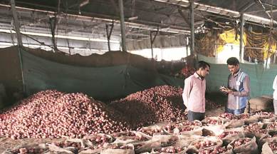 onion prices, onion prices in punjab, onion sale in punjab, punjab onion farmers, chandigarh city news
