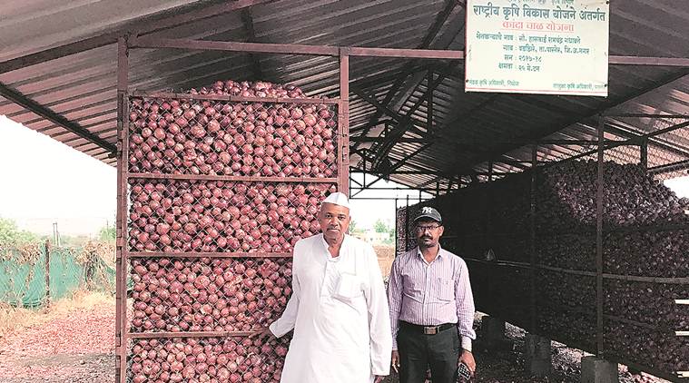 Maharashtra farmers, onion farmers, Maharashtra farmers income, Maharashtra farmers crisis