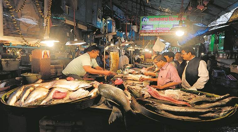 fish, love for fish, bengali households, eye 2019, sunday eye, indian express, indian express news