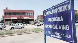 Panchkula MC’s inaction compels residents to hire trolley, dump horticulture waste