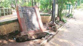 Overflowing stream damages butterfly park in Sahakarnagar
