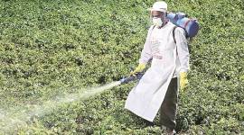 crop protection chemicals, price protection on crop protection chemicals, price protection on agricultural inputs, indian farmers