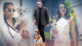 pet parent, pet, famous pets, celebrity pets, Indian Express, Indian Express news