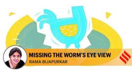 economy slowdown, investment, SEBI, diwali, non performing assets, GDP growth, Indian Express