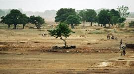 First Phase Digital Desertification, desertification of africa, Sahel, Sahel in Africa, green jobs, United Nations Convention for Combating Desertification, UNCCD