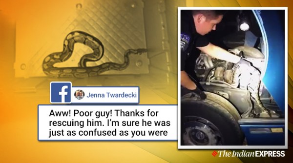 Cop Pulls Python From Car Engine, Cop Pulls Python viral video, Python, snake car engine viral video, trending, indian express, indian express news
