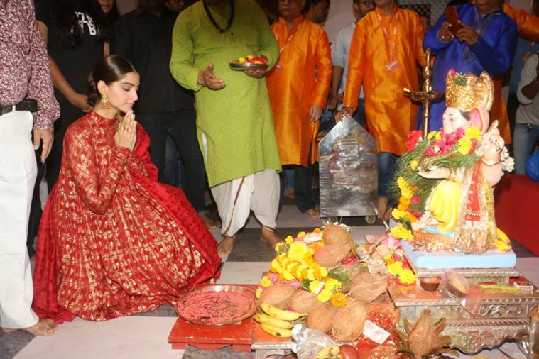 sonam kapoor, sonam kapoor ahuja, sonam kapoor the zoya factor, indian express, indian express news