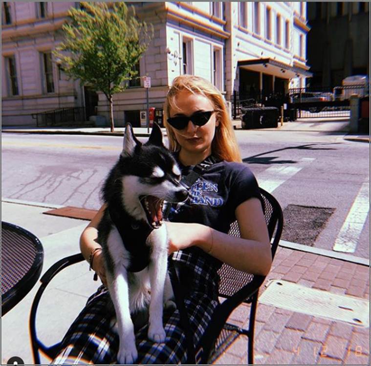 Sophie Turner, pet parent, pet, famous pets, celebrity pets, Indian Express, Indian Express news