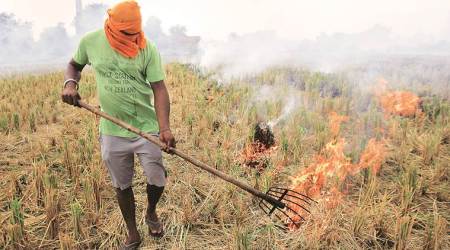 punjab news, punjab farmers hold dhana, stubble burning, punjab government, farmer unions, indian express