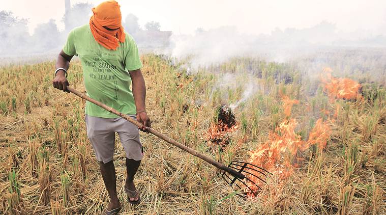 punjab stubble burning, delhi pollution punjab, punjab news, latest news